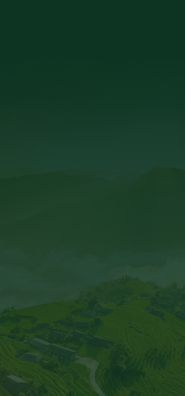 https://cms.villagesvietnam.com/wp-content/uploads/2025/02/bg-VisionAndMissionMB.webp