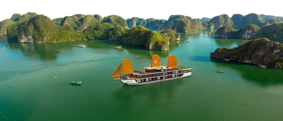 Viet Nam