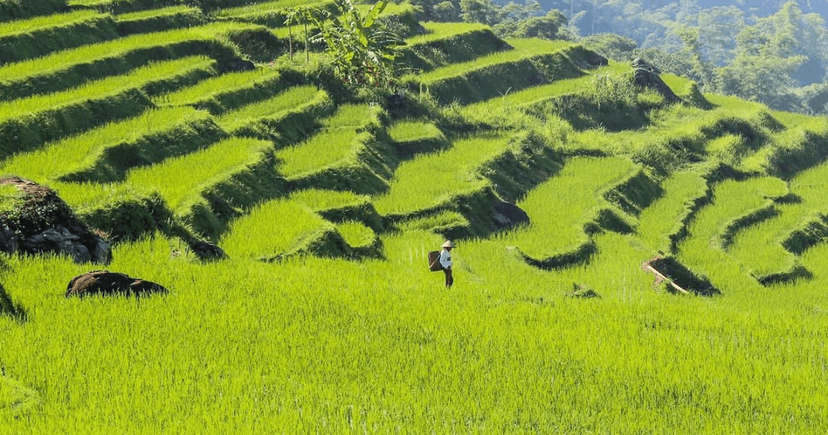 Village Lan : une immersion discrète au cœur de Pu Luong