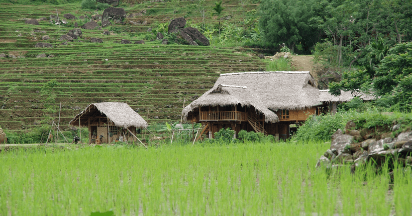 Village de Don : immersion douce au cœur de Pù Luông