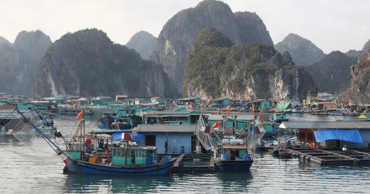 Village flottant de la baie d'Ha Long
