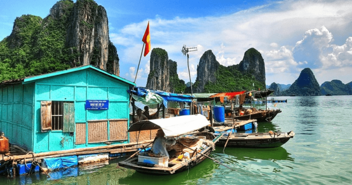 Vie quotidienne dans un village flottant de la baie d'Ha Long