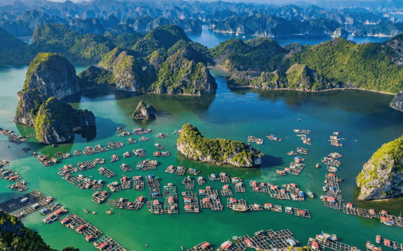 Village flottant de la baie d'Ha Long