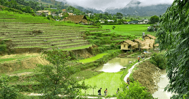 Randonnée à Sapa