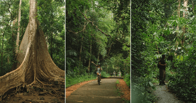 Que faire au parc national de Cat Tien