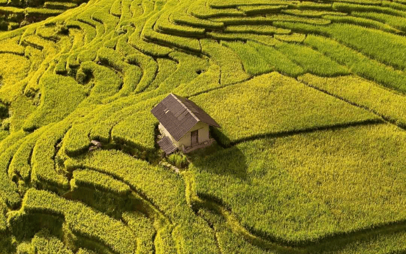 Village ethnique à Sapa : immersion dans les villages montagnards