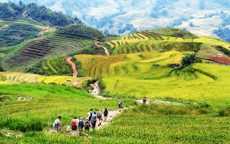 Randonnée à Sapa