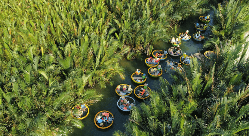 La forêt de cocotiers à Hoi An : une escapade nature