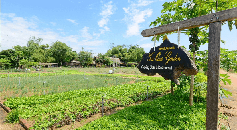Le village maraîcher de Tra Que, jardin vivant de Hoi An