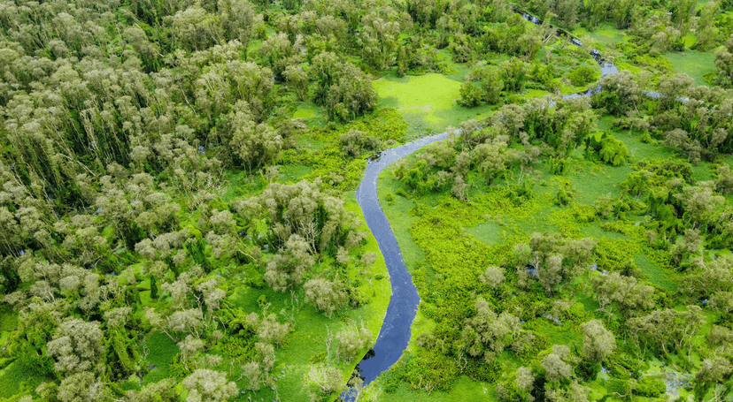 Que voir à Chau Doc ? Les incontournables du delta du Mékong