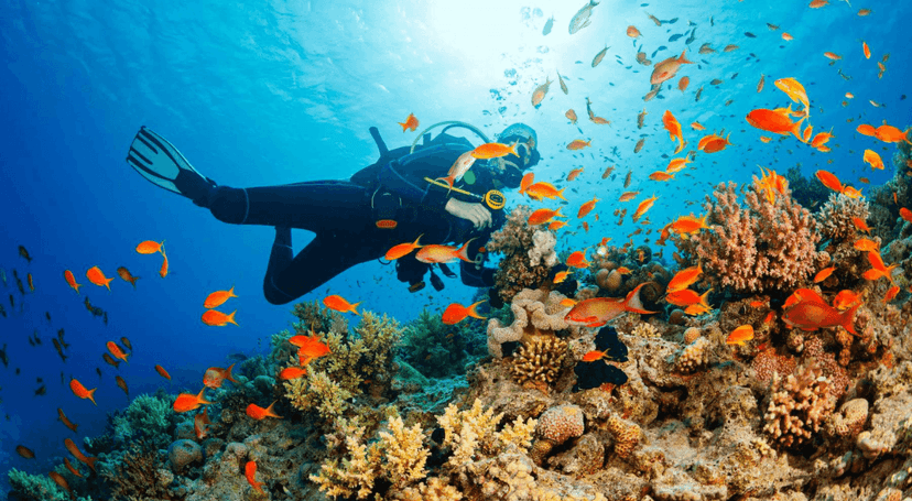 10 des activités les plus fascinantes à faire à Phu Quoc