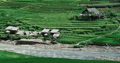 Randonnée à Sapa