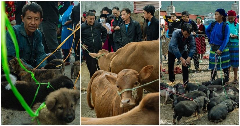 Marché ethnique de Meo Vac : une rencontre vivante avec les cultures du nord Vietnam