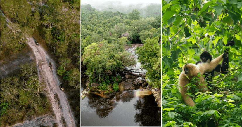 Parc national de Phu Quoc : nature sauvage et biodiversité au cœur de l’île