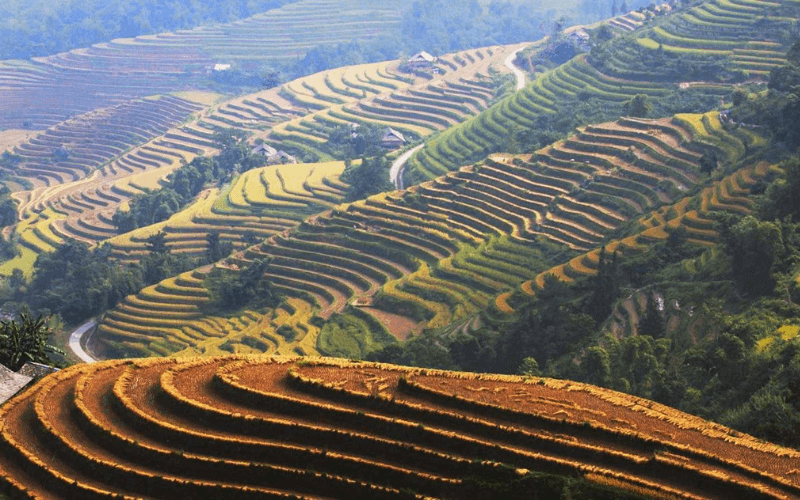 Village de Luoc, tresor caché de Hoang Su Phi