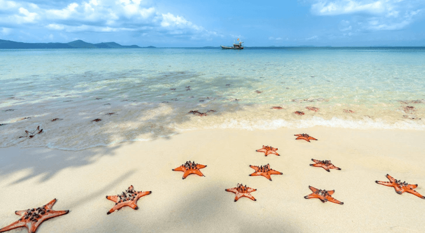 Plages de Phu Quoc : les plus beaux rivages de l’île