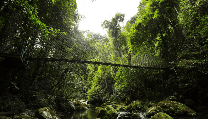 Découvrez Oudomxay : nature sauvage et rencontres authentiques au nord Laos