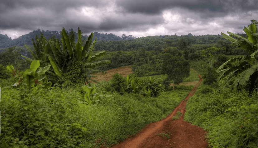 Voyage à Ratanakiri : Immersion au cœur du Cambodge sauvage