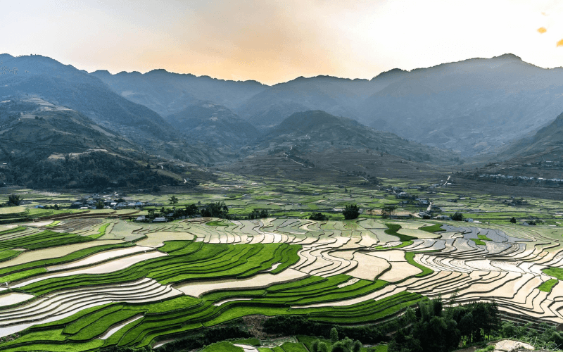 Voyage à Mu Cang Chai : immersion au cœur des rizières