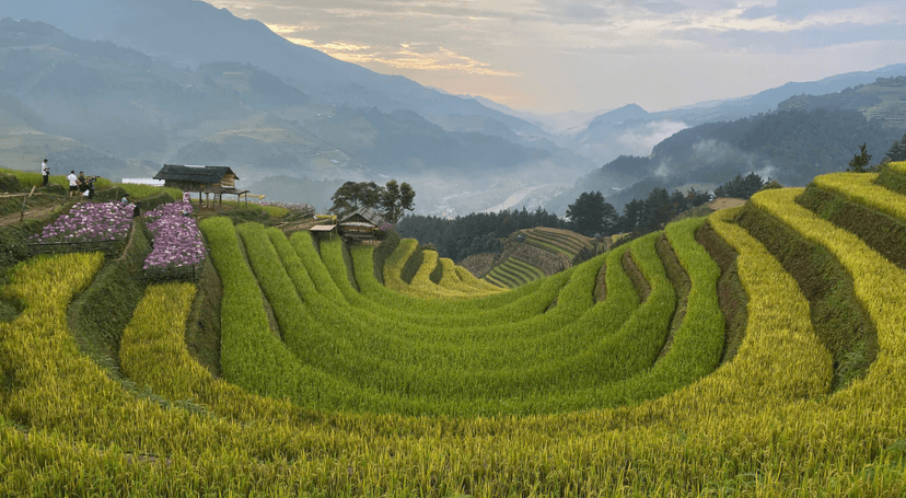 Vietnam en octobre : météo, où aller et conseils