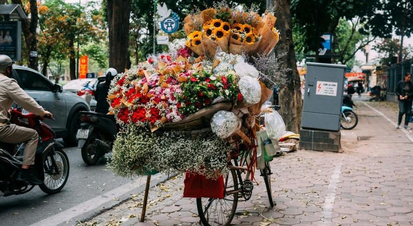 Vietnam en novembre : météo, où partir et conseils